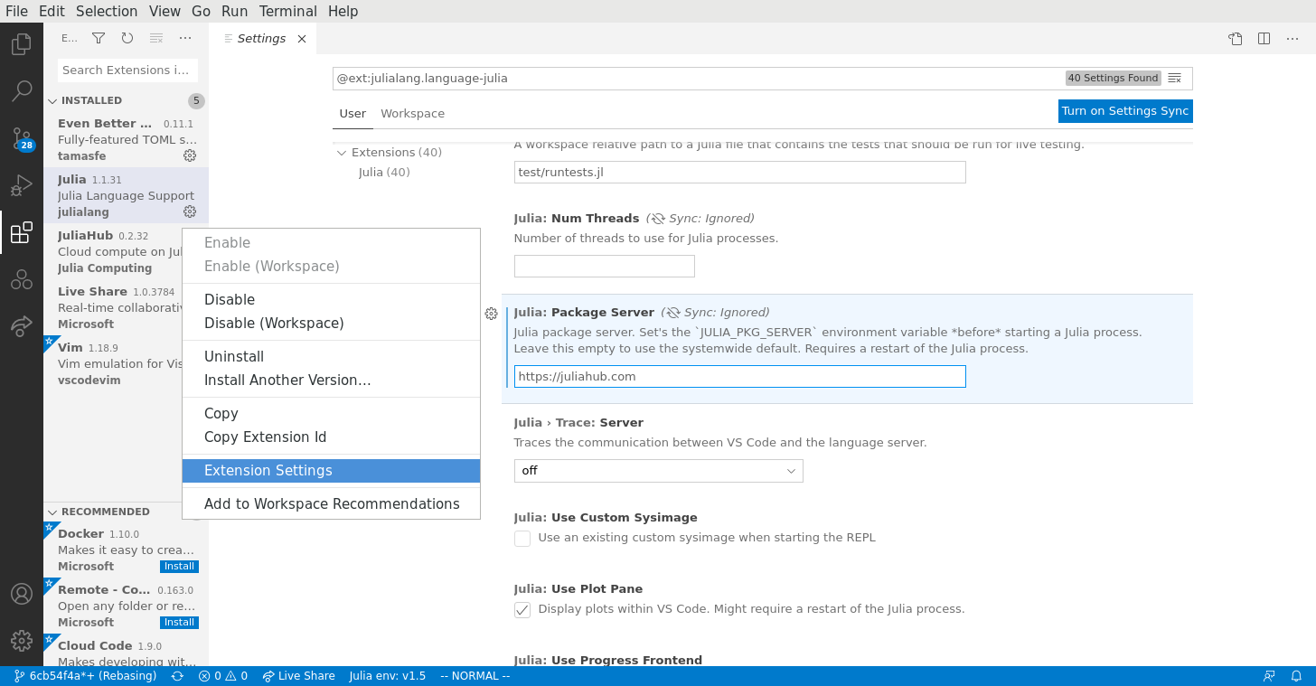 juliahub package setting