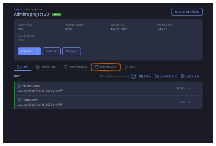Project Page in JuliaHub with files synced up and Vulnerability tab
