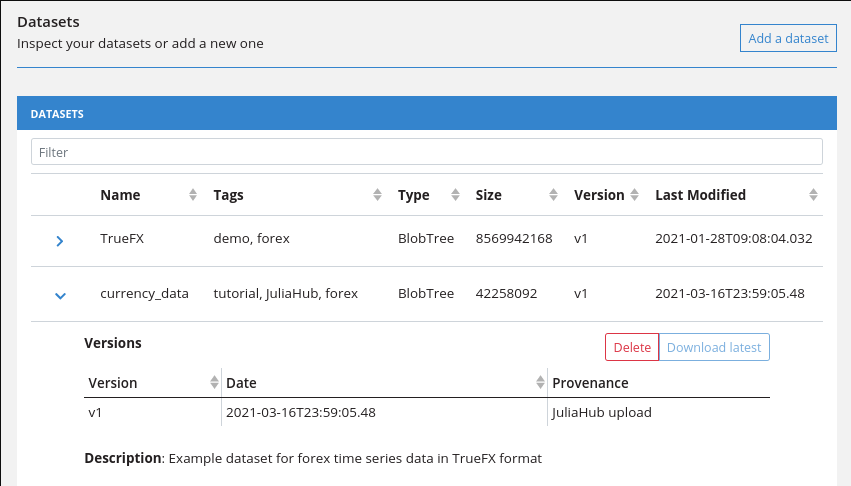 Dataset Web UI screenshot